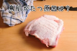 鳥肌が立つ原因はこの３つ 鳥肌を早く引っ込める方法はあるのか 358ドットネット
