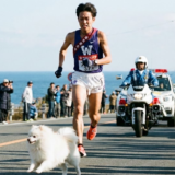 箱根駅伝3区・犬乱入の飼い主は誰で逮捕の可能性は？野中選手の「ポメラニアンジャンプ」動画と損害賠償リスク
